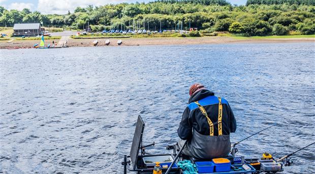 Tamar Lakes Picture 4