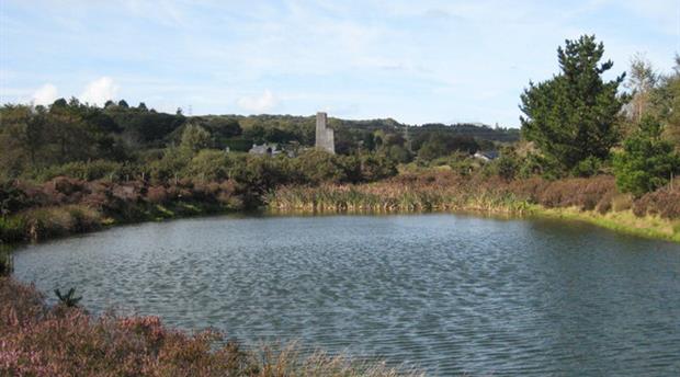 Bissoe Trail Picture 2