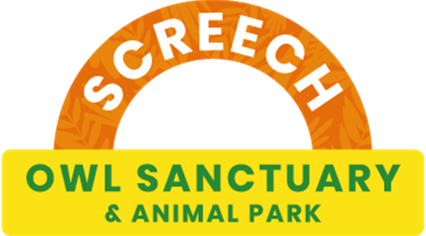 Screech Owl Sanctuary & Animal Park Picture 1