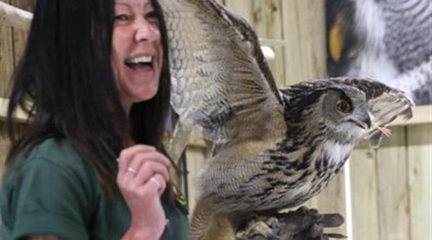 Screech Owl Sanctuary & Animal Park Picture 4