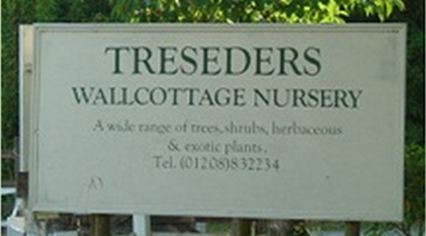 Treseders - Wallcottage Nurseries Picture 1