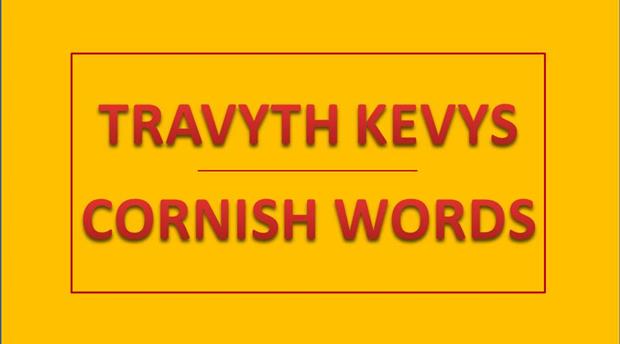 Cornish Words & Phrases Picture 1