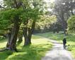 Trelissick Garden Picture