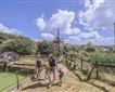 Wheal Martyn Clay Works Picture