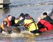 British Divers Marine Life Rescue Picture