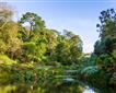 Trebah Garden Picture