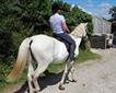 Barguse Riding Centre Picture
