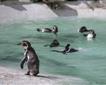 Newquay Zoo Picture