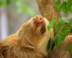 Newquay Zoo Picture