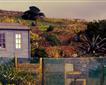 Churchtown Plant & Herb Nursery Picture