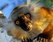 Porfell Wildlife Park Picture