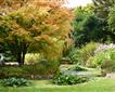 Trewidden Garden Picture
