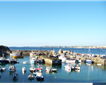 The Harbour Rest Cafe Picture