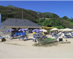 Maenporth Beach Cafe Picture