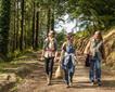 Cardinham Woods Picture