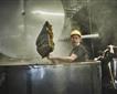 Skinners Brewery Picture
