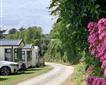 Lundynant Holidays Picture