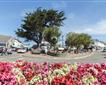 Bude  Picture