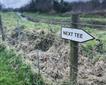 Penwith Pitch & Putt Picture