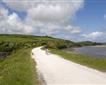 The Camel Trail - Padstow Picture