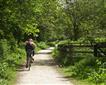 The Camel Trail - Bodmin Picture