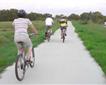 The Camel Trail - Wadebridge Picture