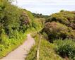 The Coast & Clay Trail  Picture
