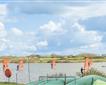 Stithians Lake  Picture