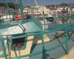 Food & Drink - Padstow Seafood School Picture