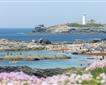 Godrevy to Portreath Picture