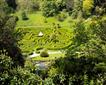 Glendurgan Garden Picture