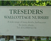 Treseders - Wallcottage Nurseries Picture