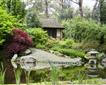 Pinetum Gardens Picture