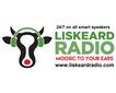 Liskeard Radio Picture