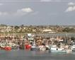 Newlyn Picture