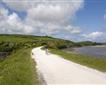 The Camel Trail - Padstow Picture