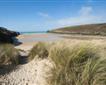 Porthcothan Bay Beach Picture